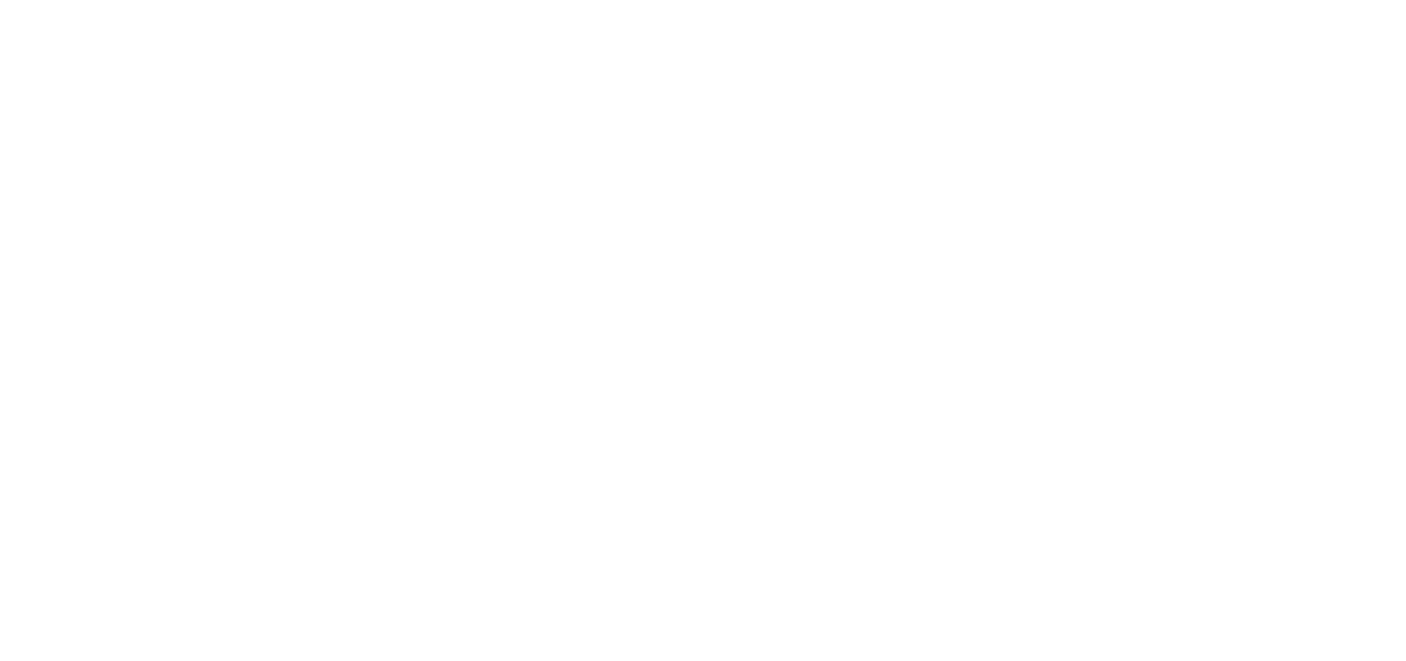 MISR VERA